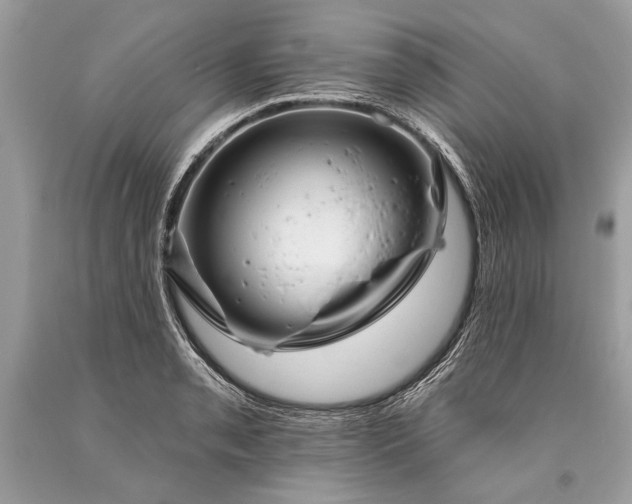 X0000093471085200710261037