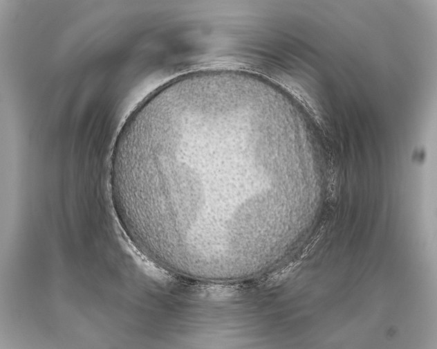 X0000093471086200710261037