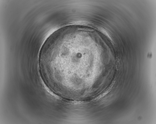 X0000093471087200710261037