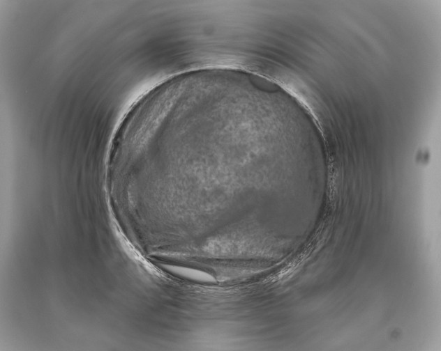 X0000093471088200710261037