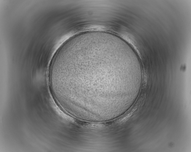 X0000093471090200710261037