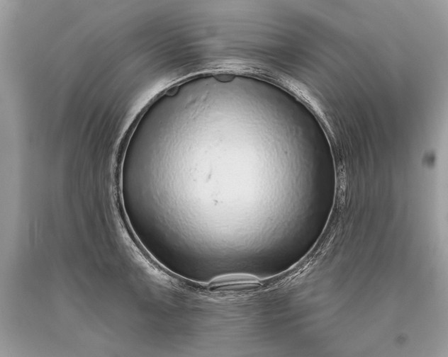 X0000093471091200710261037