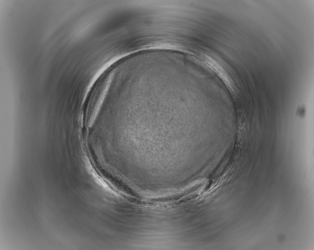 X0000093471092200710261037