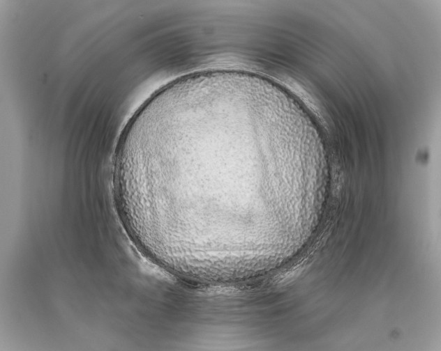 X0000093471094200710261037