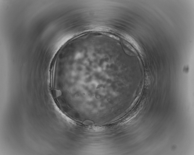 X0000093471095200710261037