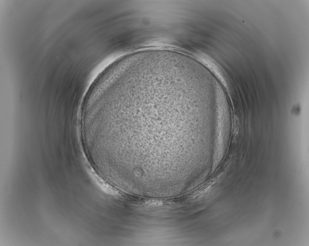 X0000093471098200710261037