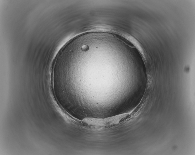 X0000093471099200710261037