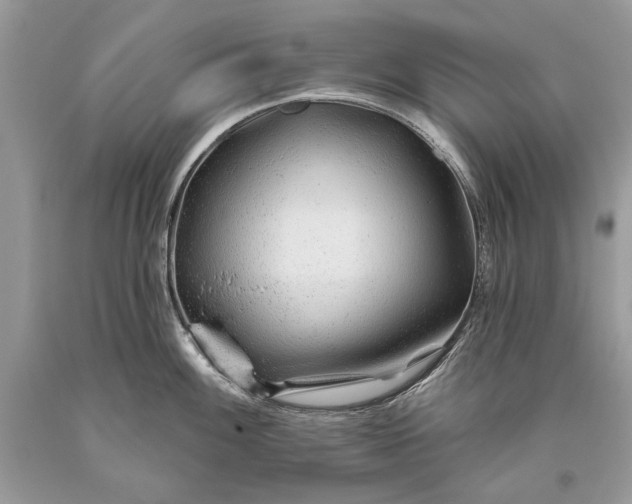 X0000093471100200710261037