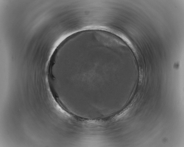 X0000093471102200710261037