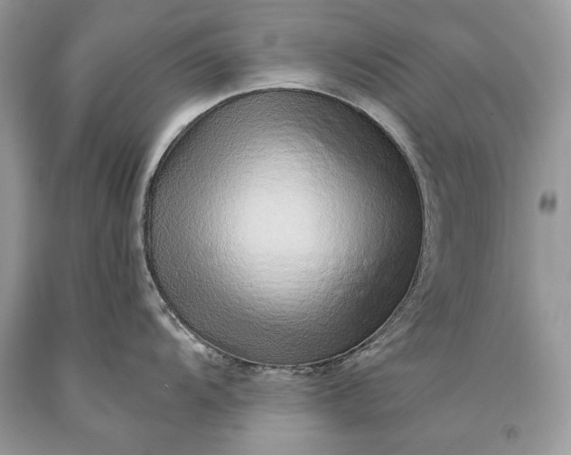 X0000093471104200710261037