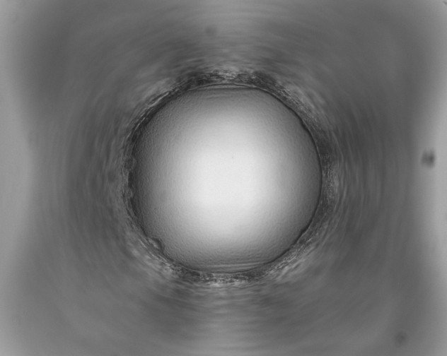 X0000093471105200710261036