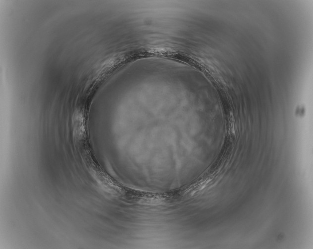 X0000093471106200710261036