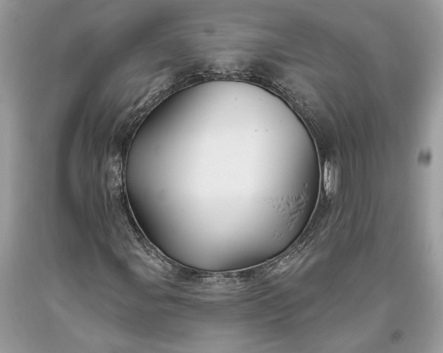 X0000093471107200710261036