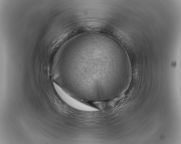 X0000093471108200710261037