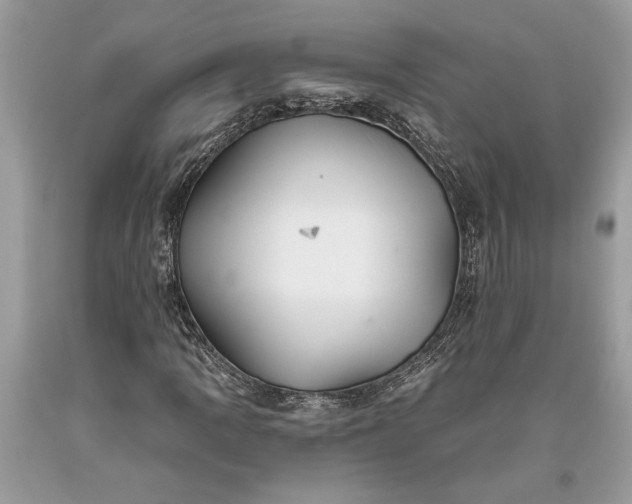 X0000093471109200710261037