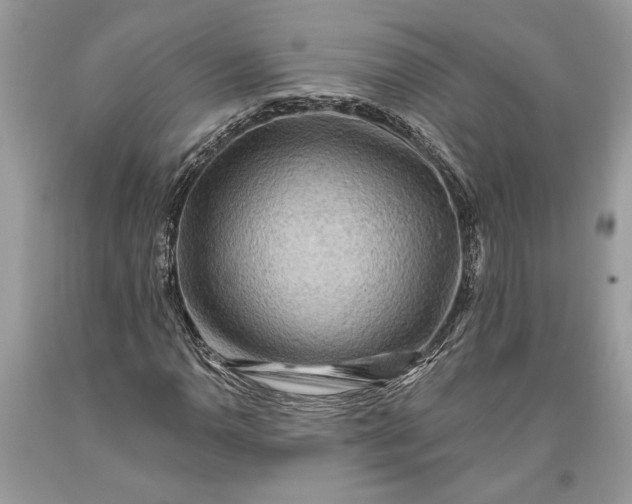 X0000093471110200710261037