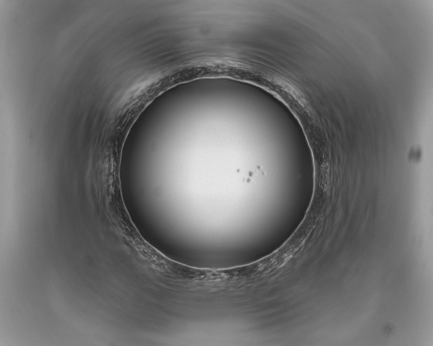 X0000093471111200710261037