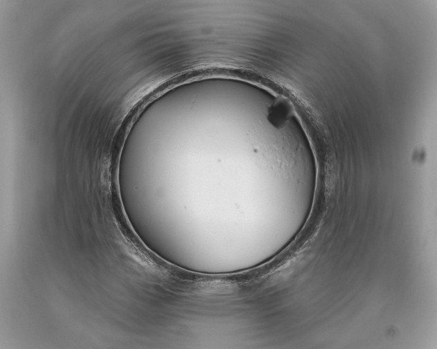 X0000093471113200710261037