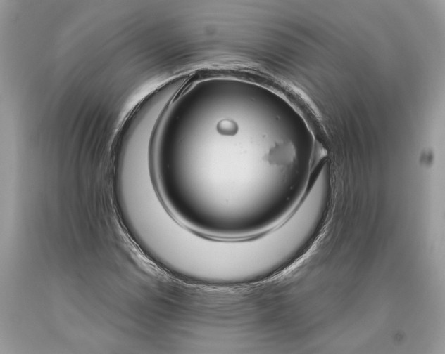 X0000093471114200710261037