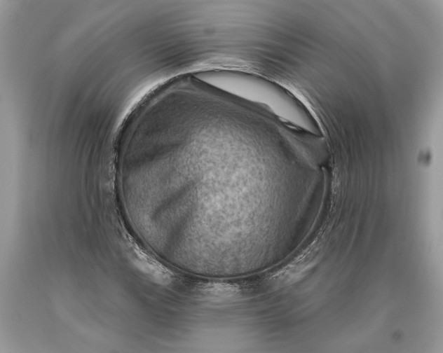 X0000093471115200710261037