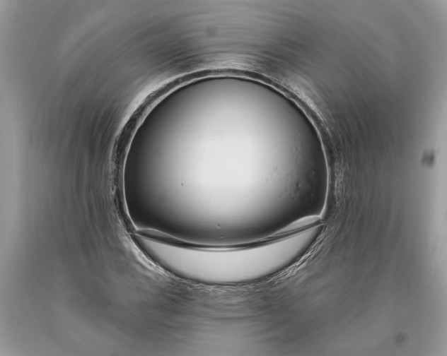 X0000093471116200710261037