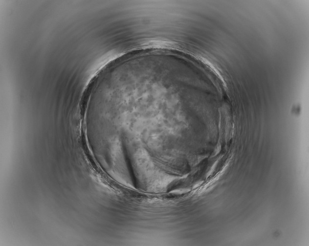 X0000093471117200710261037