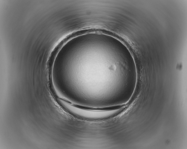 X0000093471118200710261037