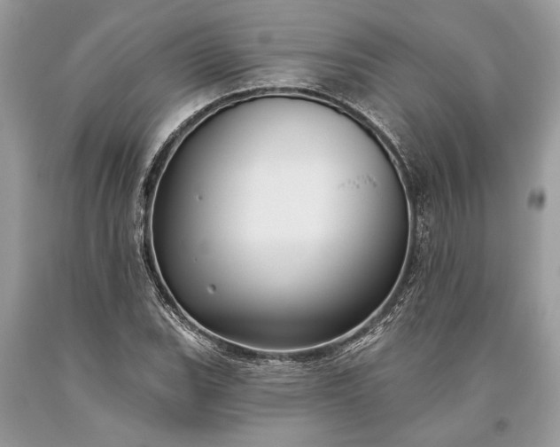 X0000093471119200710261037