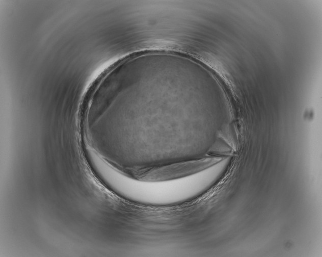 X0000093471120200710261037