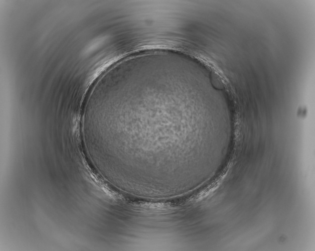 X0000093471121200710261037