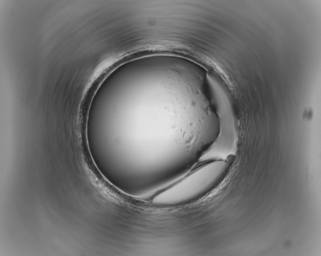 X0000093471122200710261037