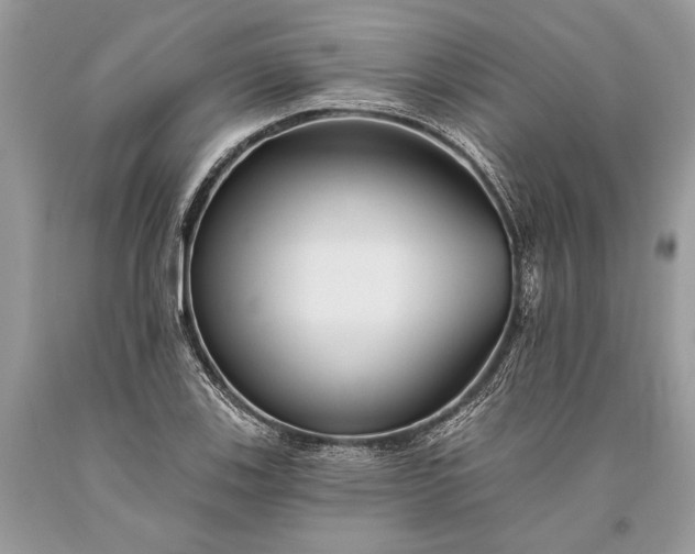 X0000093471123200710261037