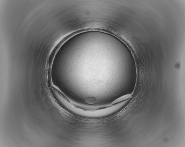 X0000093471124200710261037