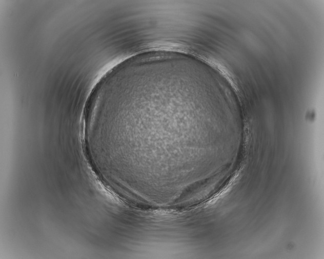 X0000093471125200710261037