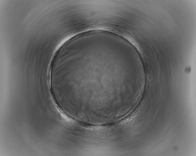 X0000093471127200710261037