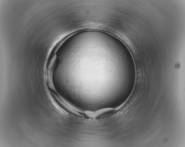 X0000093471128200710261037