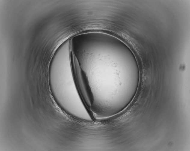 X0000093471129200710261037