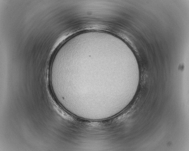 X0000093471130200710261037