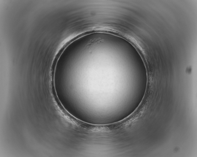 X0000093471133200710261037