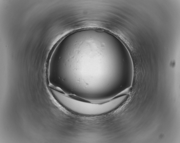 X0000093471134200710261037