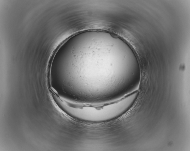 X0000093471135200710261037