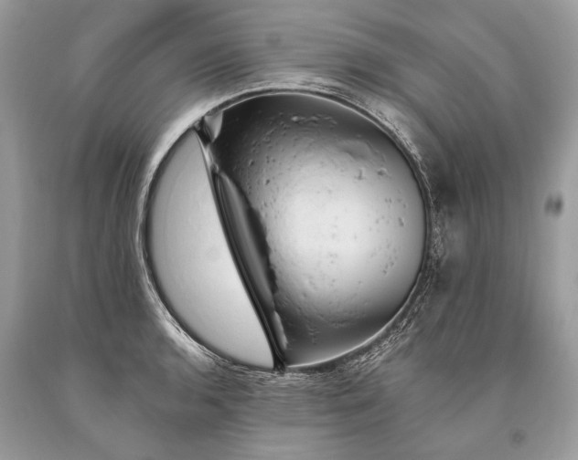 X0000093471136200710261037