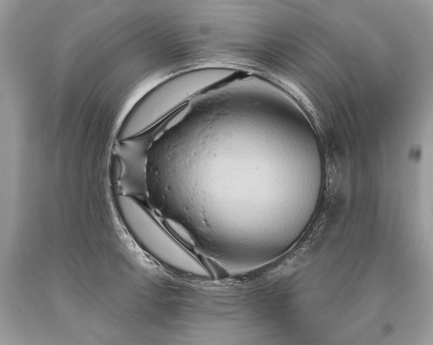 X0000093471138200710261037