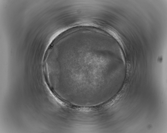 X0000093471141200710261037