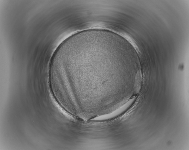 X0000093471142200710261037