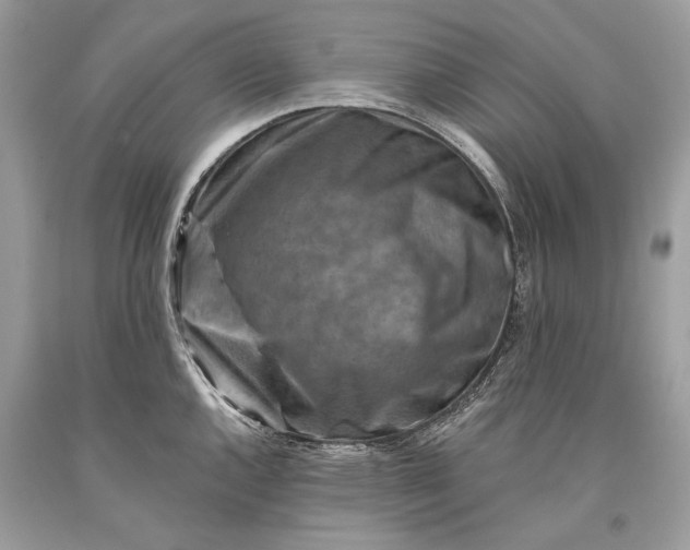 X0000093471144200710261037