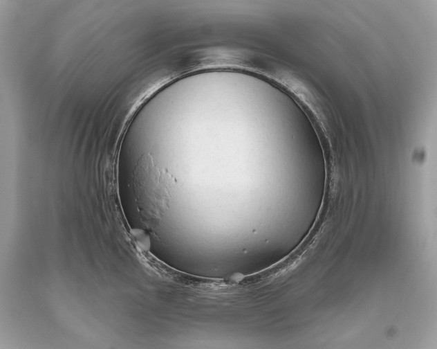 X0000093471145200710261037