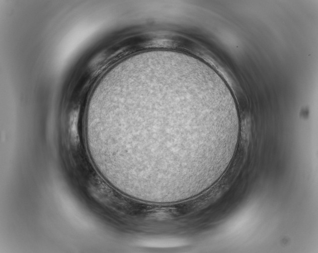 X0000093471150200710261037