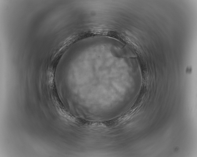 X0000093471154200710261036