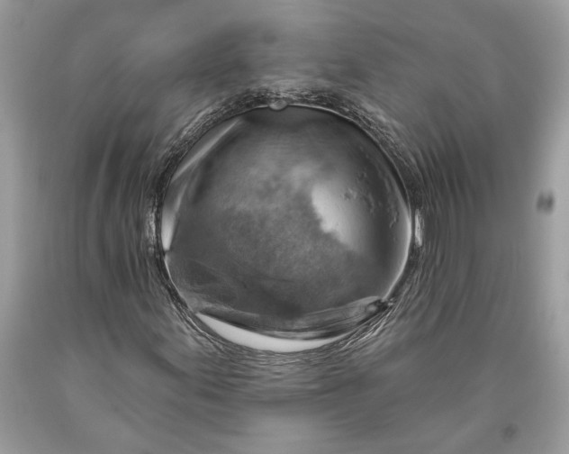 X0000093471155200710261036